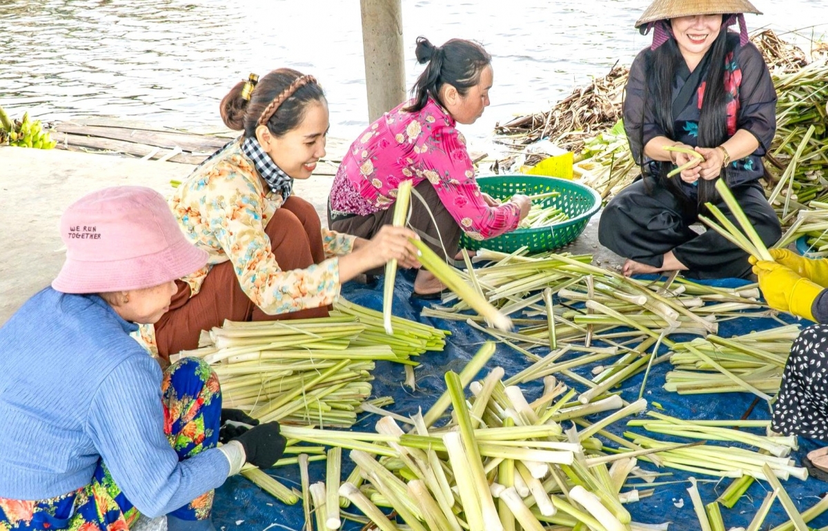 Chị Đặng Yến Như (áo hoa, ở giữa) đã gắn bó với người dân địa phương để phát triển sản phẩm bồn bồn (ảnh: Nhật Minh).