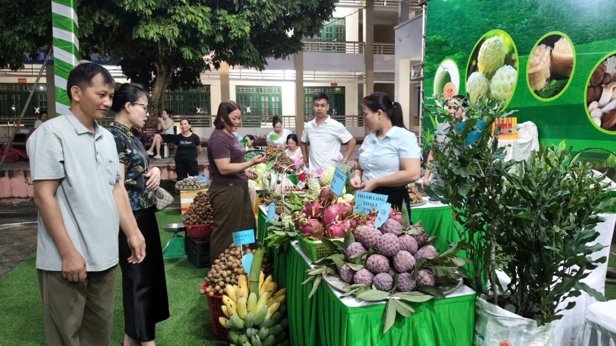 Nhiều sản phẩm nông sản đặc trưng của vùng cao Thái Nguyên đang được mở rộng thị trường, góp phần phát triển kinh tế địa phương (Ảnh: Công Luận-Hoàng Tú/VOV Đông Bắc)