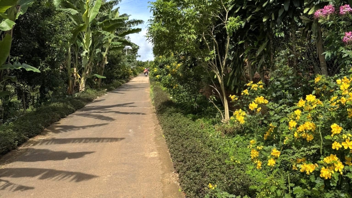 
Trong bê tông kơjăp, rơgŏh ‘lơ̆ng tơ̆ xăh Bảo Thuận