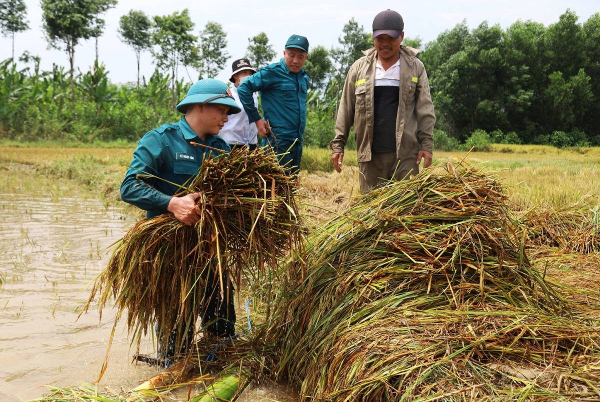 Khu lêng kuăn pơlê, khu tơrŭm cheăng pơlê kum kuăn pơlê pôe báu