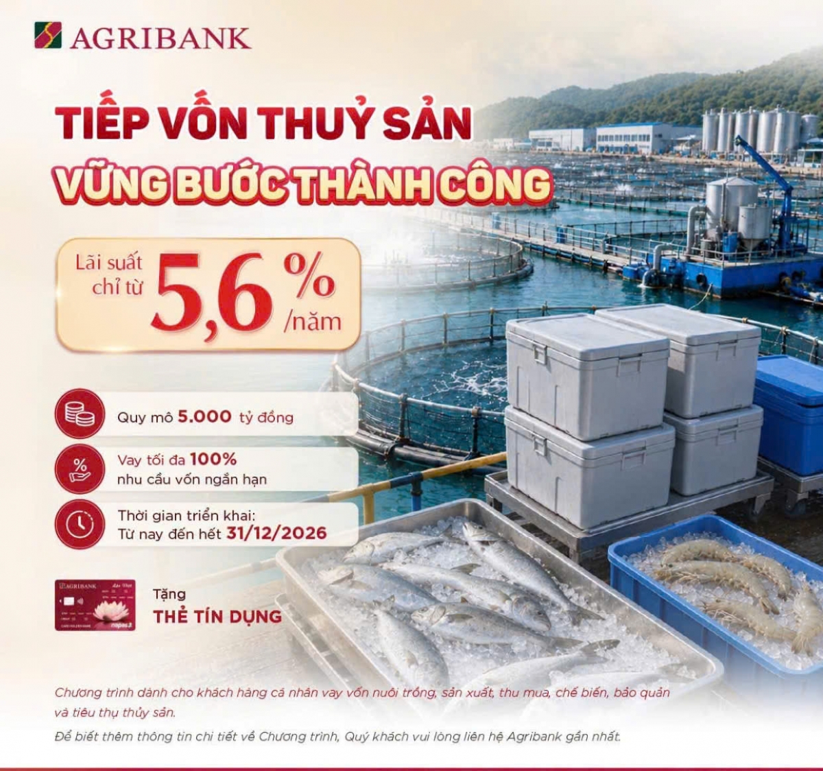 Agribank mang đến nguồn vốn ưu đãi "Tiếp vốn thủy sản - Vững bước thành công" giúp bà con nuôi trồng, sản xuất, chế biến thủy sản chủ động chi phí giống, thức ăn, vật tư, cải tạo ao đầm để bứt phá năng suất vụ mới.