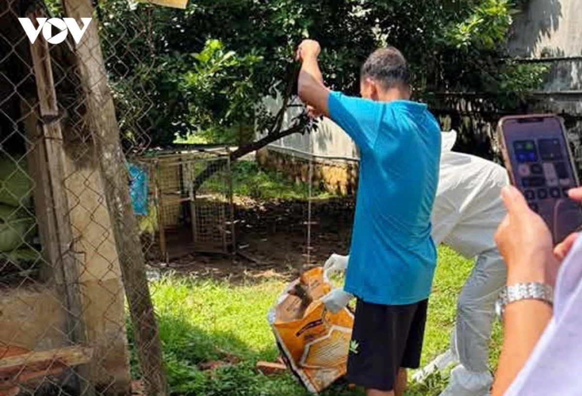 Ngành y tế xử lý khoanh vùng khu vực nhà dân có chó dại cắn, nhằm tránh việc virus lây lan ra cộng đồng.