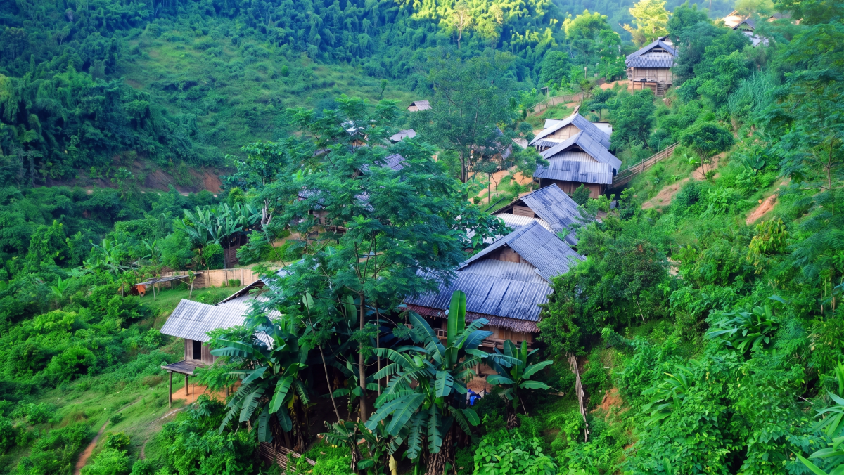 Hình ảnh những ngôi nhà sàn truyền thống cao ráo của người Khơ Mú, bao quanh bởi rừng tre, rẫy chuối và cây cối trên sườn núi. Đây chính là không gian sống, là  "vũ trụ thu nhỏ" huyền bí của họ. Ảnh: dantoctongiao.congly.vn