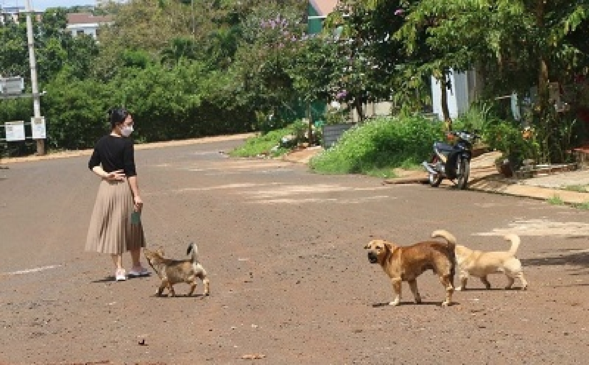Tơdroăng ki kơ’nêi chó ôh tá klup mông xuân hlo hên hĭn a hên cheăm bêng a kong pơlê Gia Lai