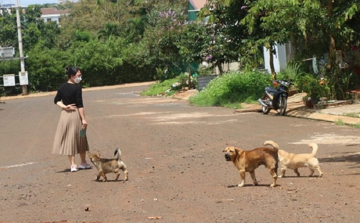 
Tơdrong hơchăng kư̆ kă kŏ ưh kơ đei chô̆ tơbong oei đei ƀôh tơ̆ lơ tơring tơ̆ dêh char Gia Lai
