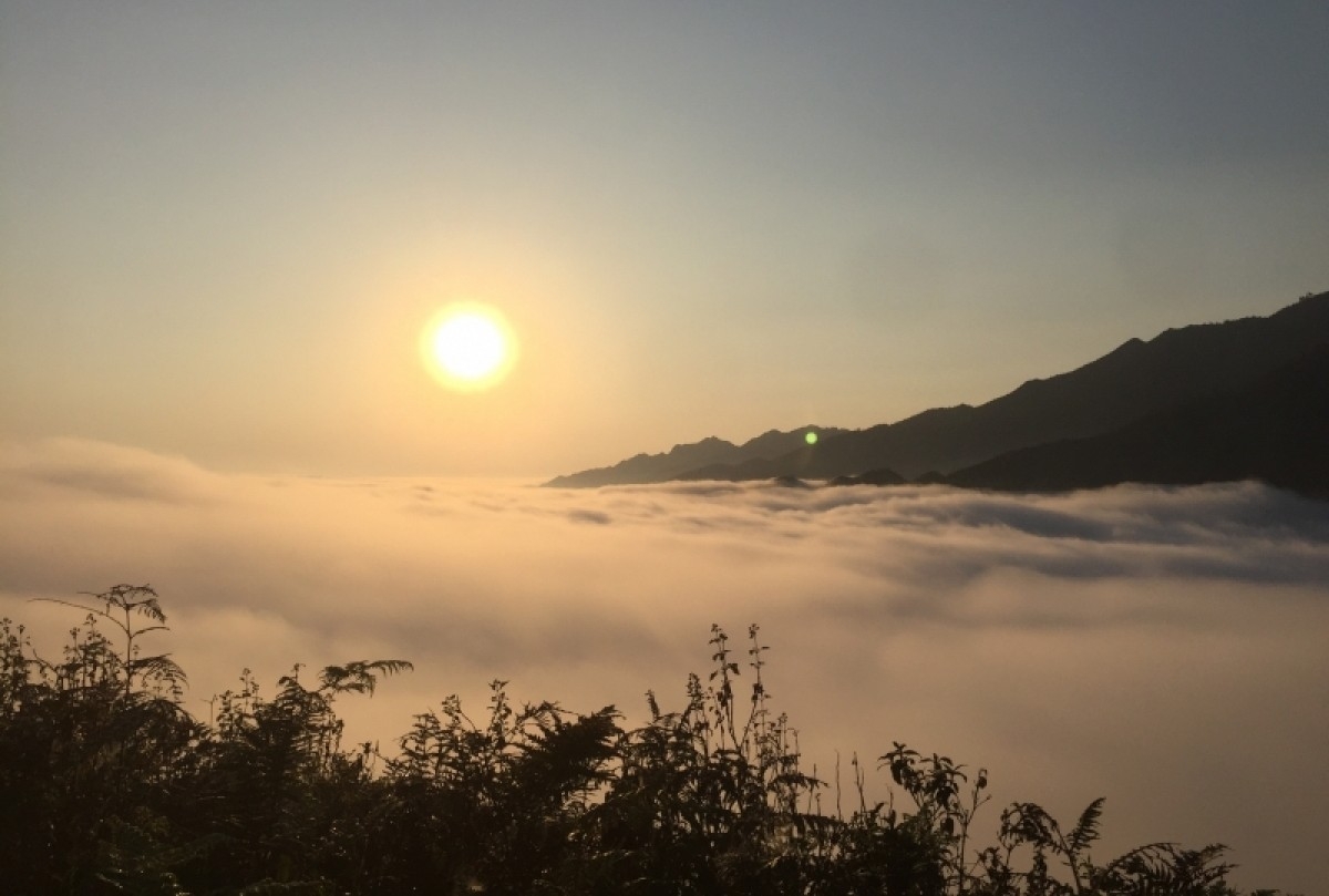 Bình minh trên "biển mây" Tà Xùa, Sơn La (Ảnh: Lê Hạnh)