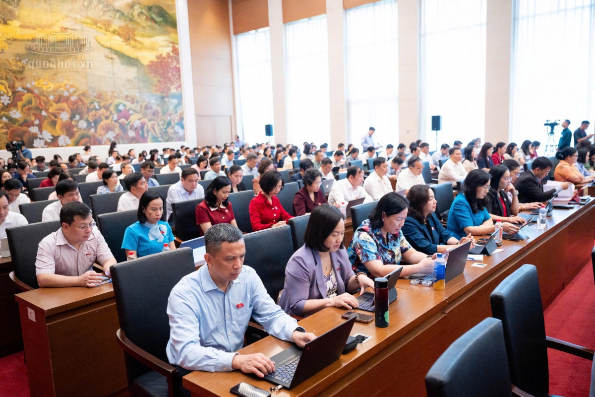 Các đại biểu tham dự Hội nghị