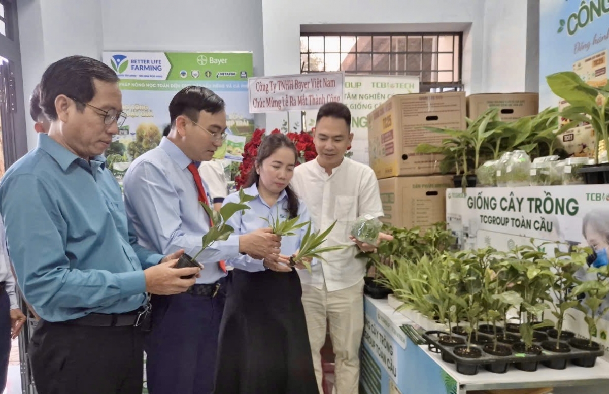Tíu tiâ mơnhên cho tíu tơdjêp kuăn pơlê, khu pêi cheăng tơrŭm, khu mơdró kâ ƀă mâu troăng hơlâ kih thuât, kong ngê̆ tơtro