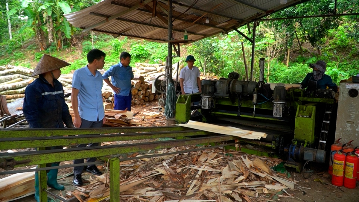 Mô hình sinh kế mới giúp nhiều hộ gia đình có điều kiện mở rộng sản xuất, nâng cao thu nhập.
Ảnh: Triệu Thuần/VOV Đông Bắc