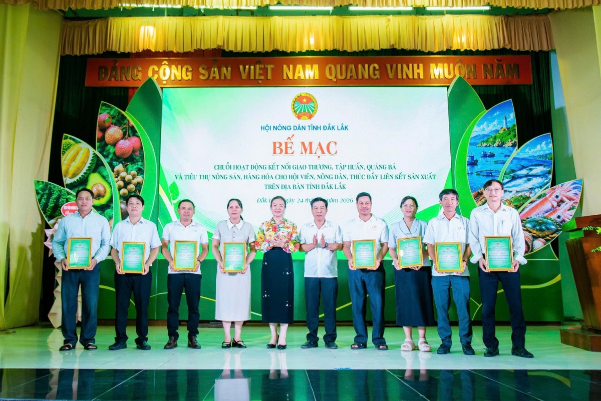 Hơdôm khul grup hăng ƀing mơnuih hơmâo hơdôm tơlơi pơgôp prong amăng bruă pơlir sĭ mơdrô gơnam đang hmua