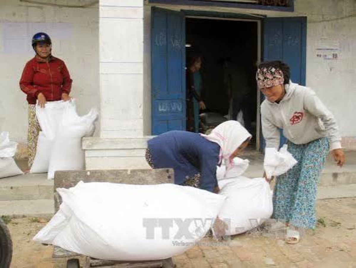 Quảng Trị hỗ trợ hơn 537 tấn gạo cho học sinh vùng khó khăn, biên giới