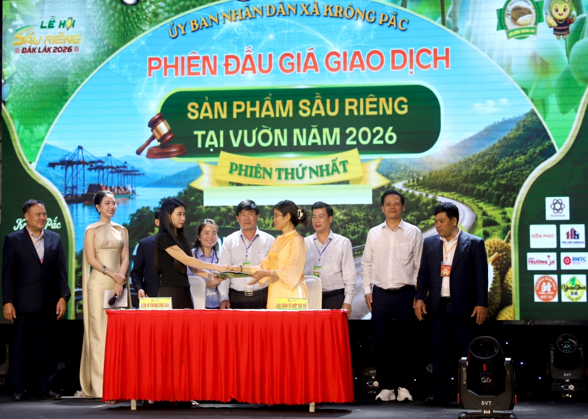 Dơ̆ pơrlòng giá plai sầu riêng