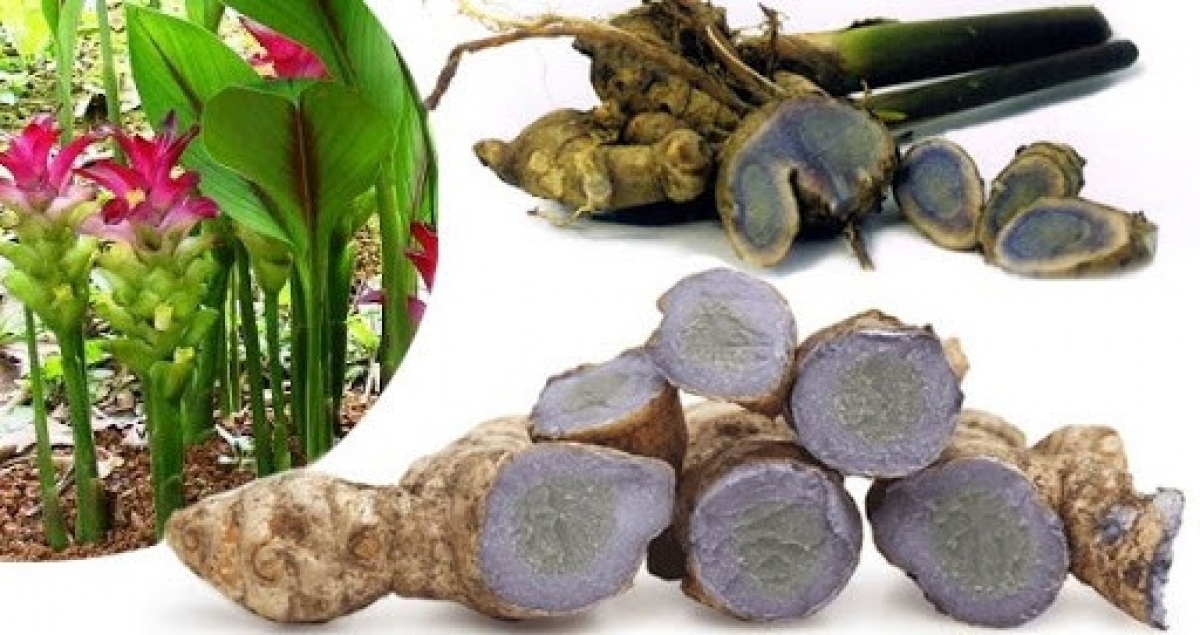 Ảnh: Dân tộc và phát triển