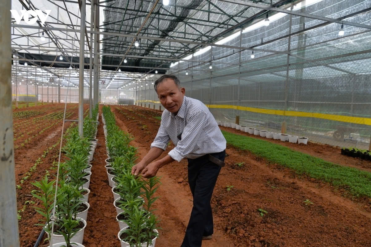Ông Nguyễn Văn Phụng ở xã Nam Đông, thành phố Huế phát triển nông nghiệp công nghệ cao để tăng giá trị nông sản