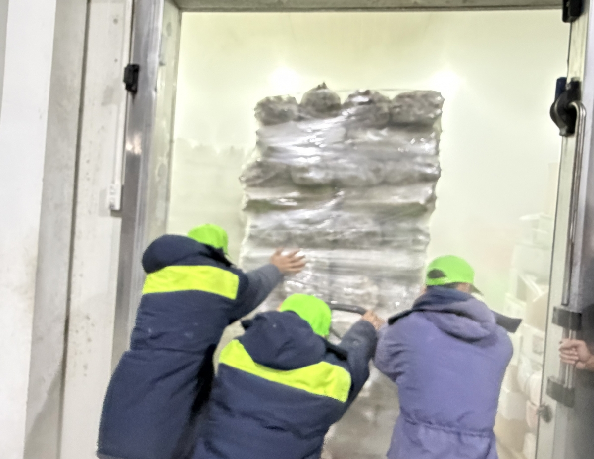 Sau khi thực hiện nhiều công đoạn, sản phẩm được đưa vào kho lạnh cáp đông