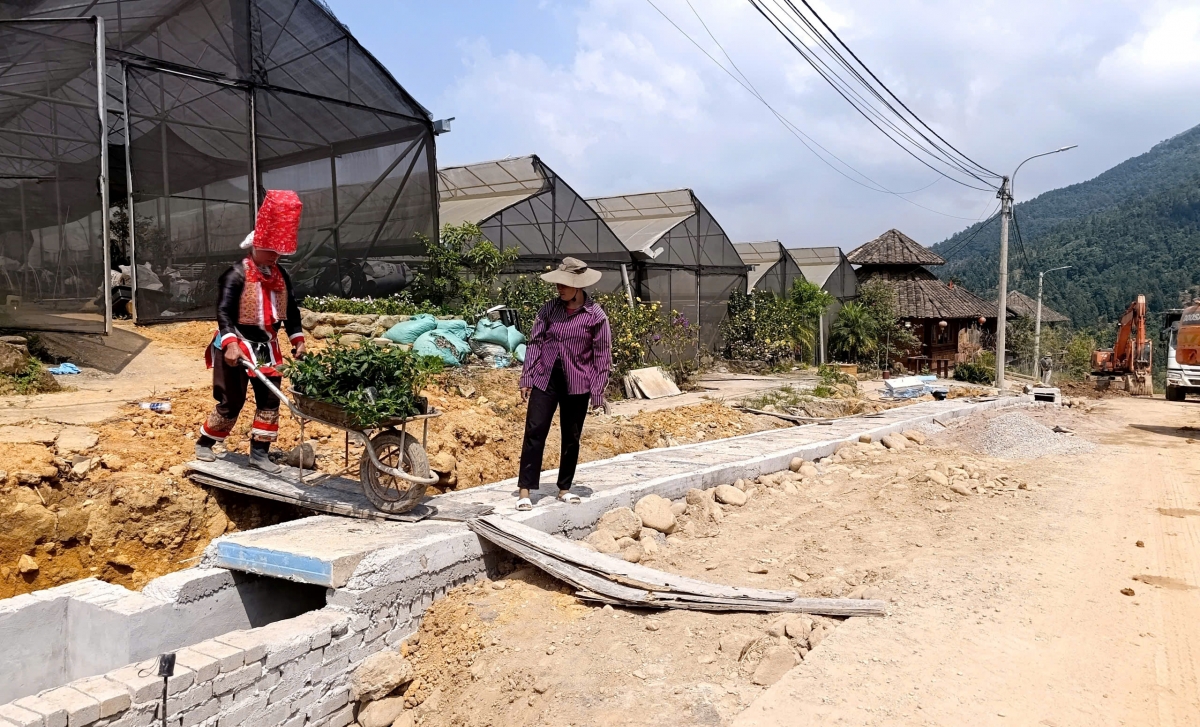 Người dân bản Cao Sơn, xã Hoành Mô tham gia lao động ngay tại địa phương, gia tăng thu nhập bên cạnh việc trồng hồi, trồng quế. Ảnh: Vũ Thị Miền/VOV Đông Bắc
