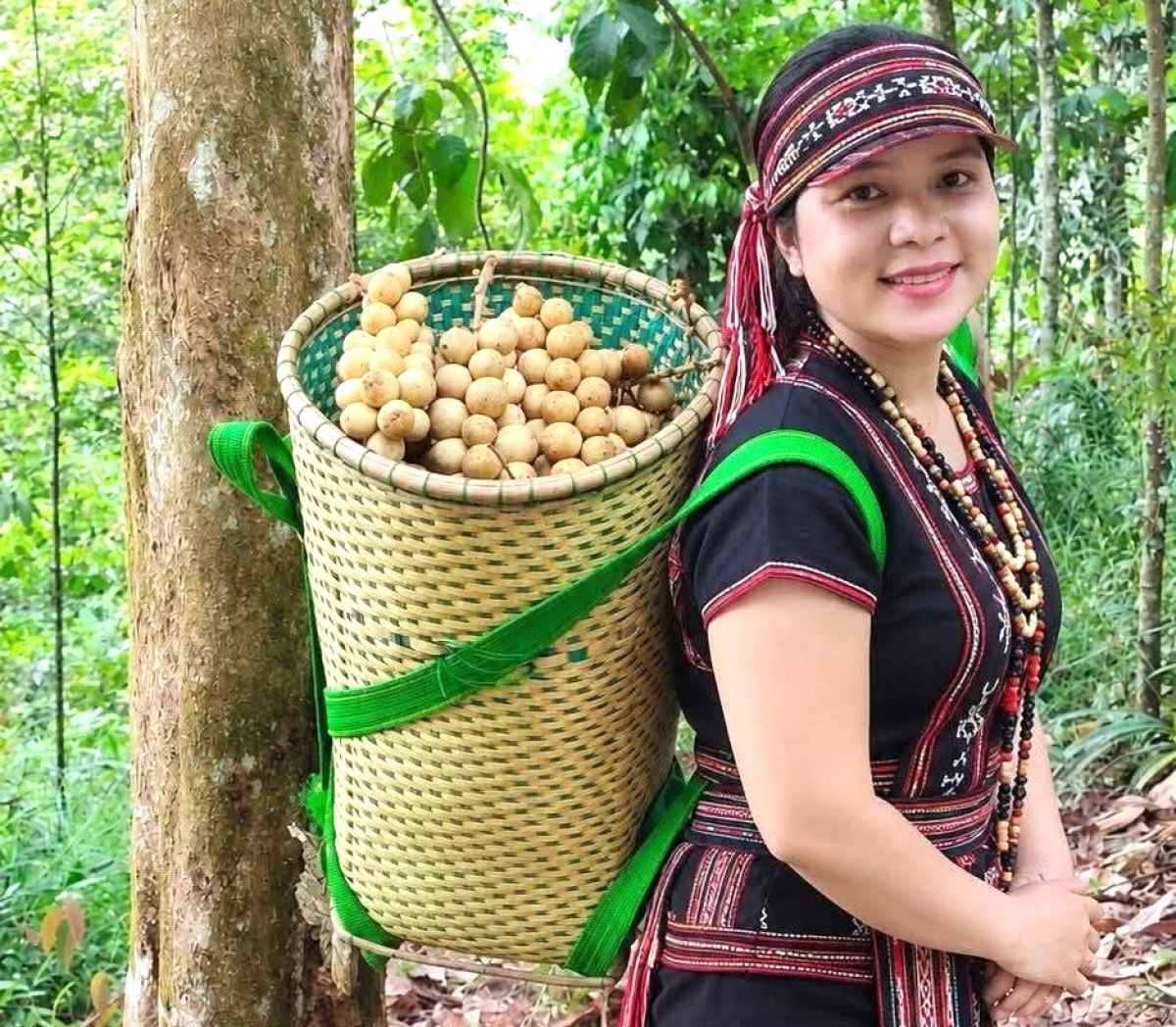 Chị Hồ Thị Lợi thu hoạch rẫy lòn bon của gia đình mỗi ngày 
 