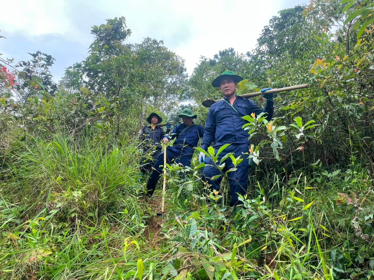 Dù có phải bạt núi băng rừng...