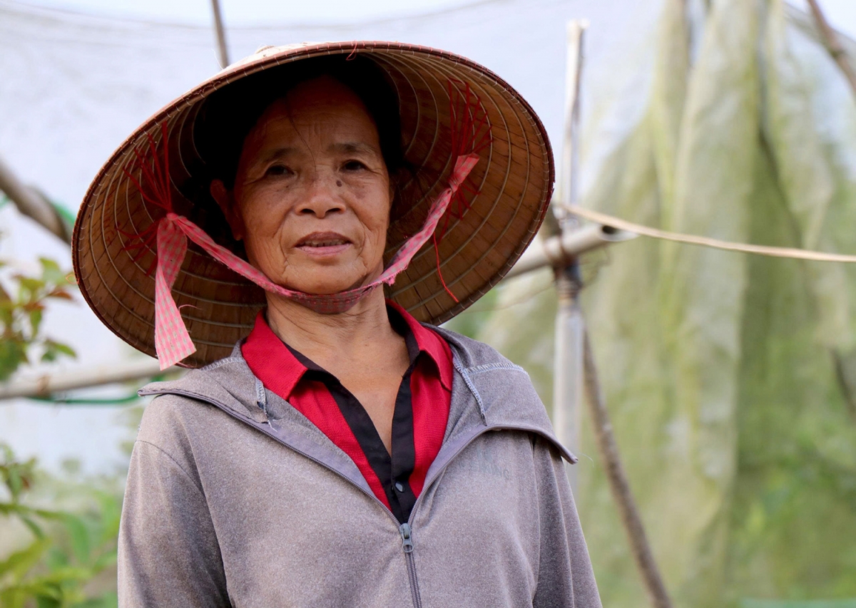 Năm 2026, bà Trần Thị Chung (phường Thục Phán, tỉnh Cao Bằng) được Trung ương Hội Nông dân Việt Nam công nhận danh hiệu “Nông dân Việt Nam xuất sắc 40 năm Đổi mới”. (Ảnh: Duy Thái)