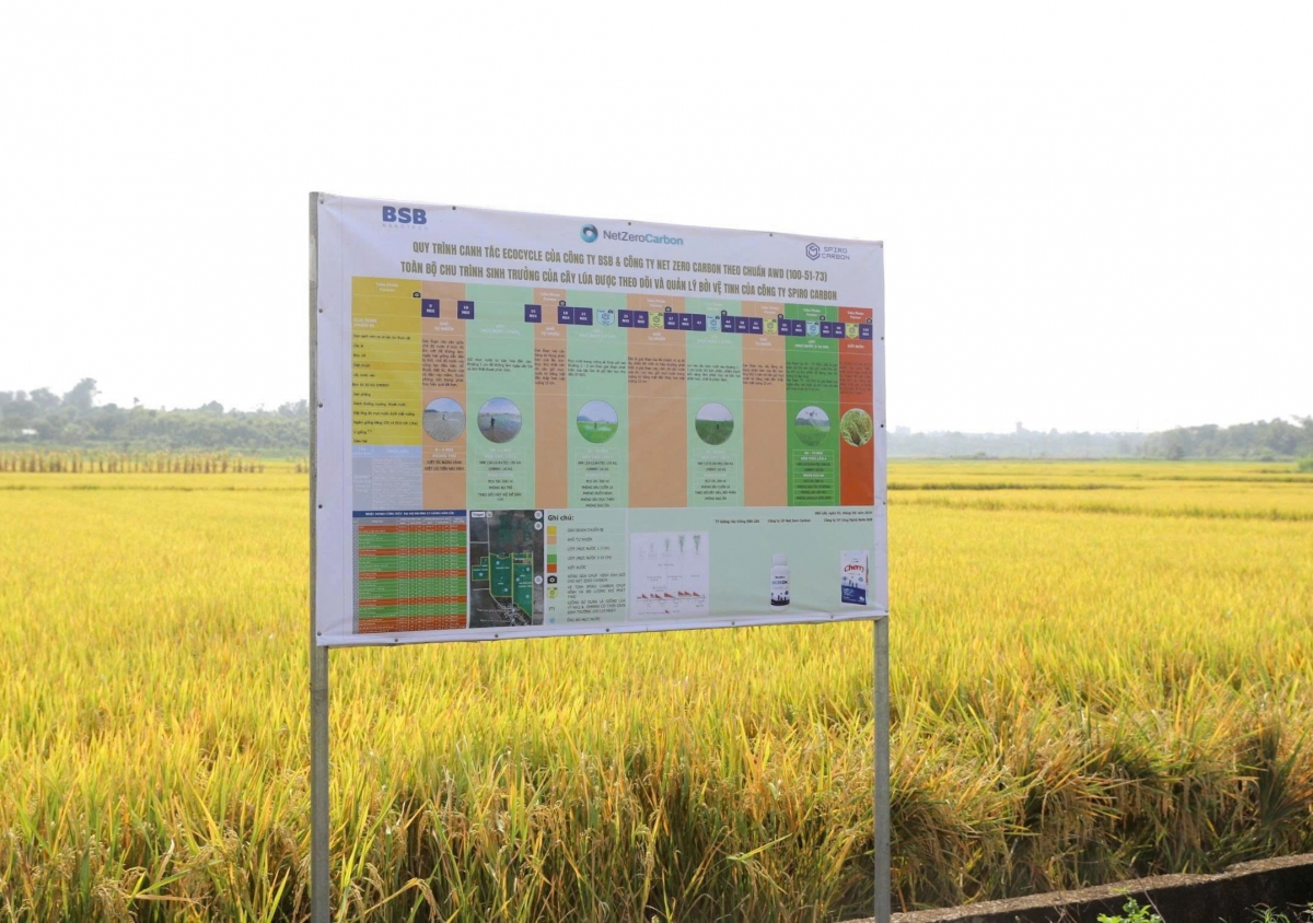 Túa pêt báu kơdroh mơ’no trếo ‘mêi
