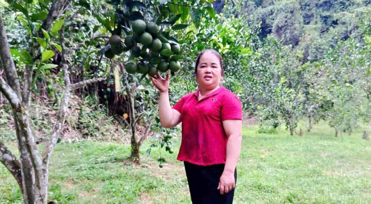 Chị Triệu Thị Hoa sẵn sàng chia sẻ kinh nghiệm trồng cây ăn quả và kỹ thuật sơ chế cho chị em hội viên Hội phụ nữ có nhu cầu khởi nghiệp. (Ảnh: Hoàng Thị Hiền)