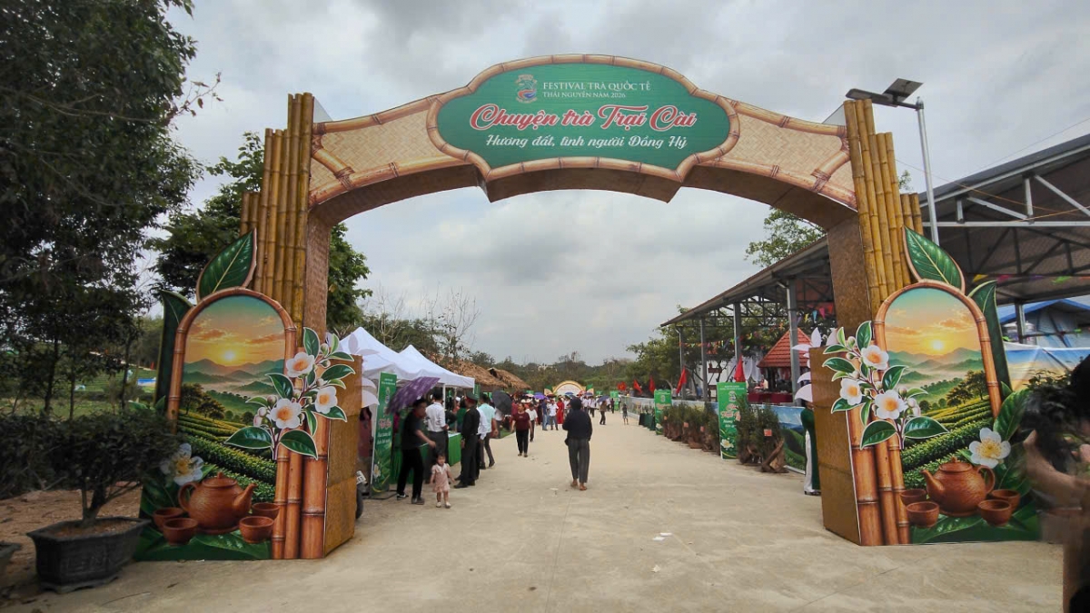 Vùng đất Trại Cài sẵn sàng cho ngày hội lớn của người dân Xứ Trà (Ảnh: Công Luận)