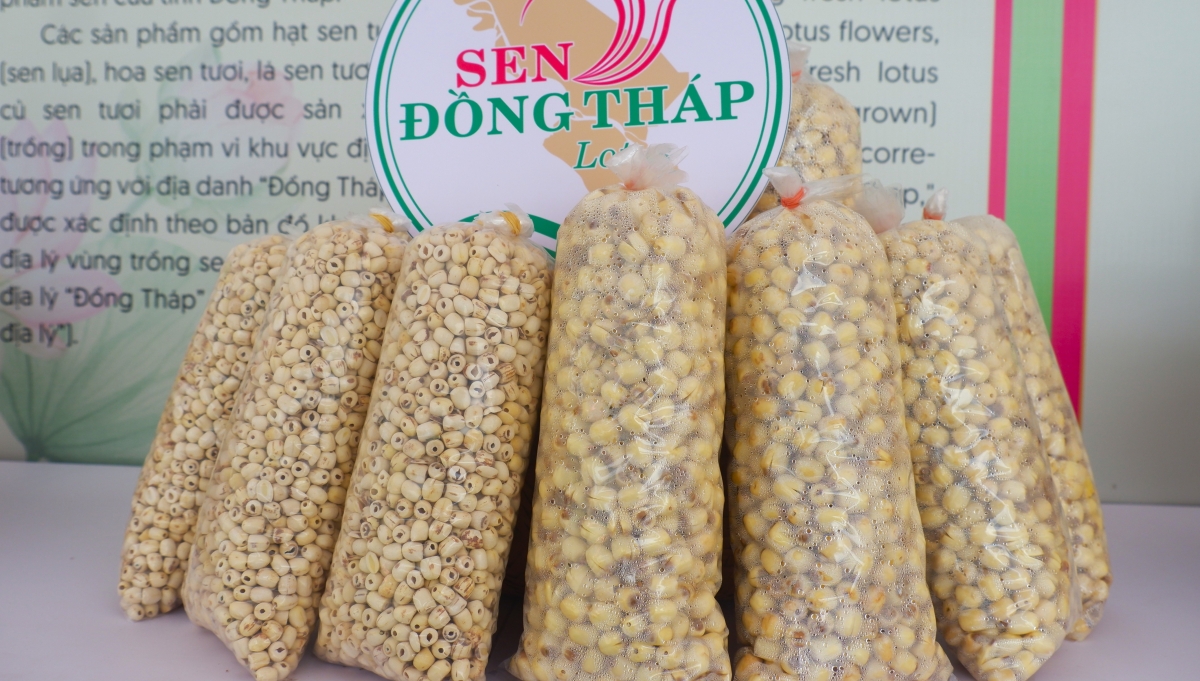 Hạt sen tươi