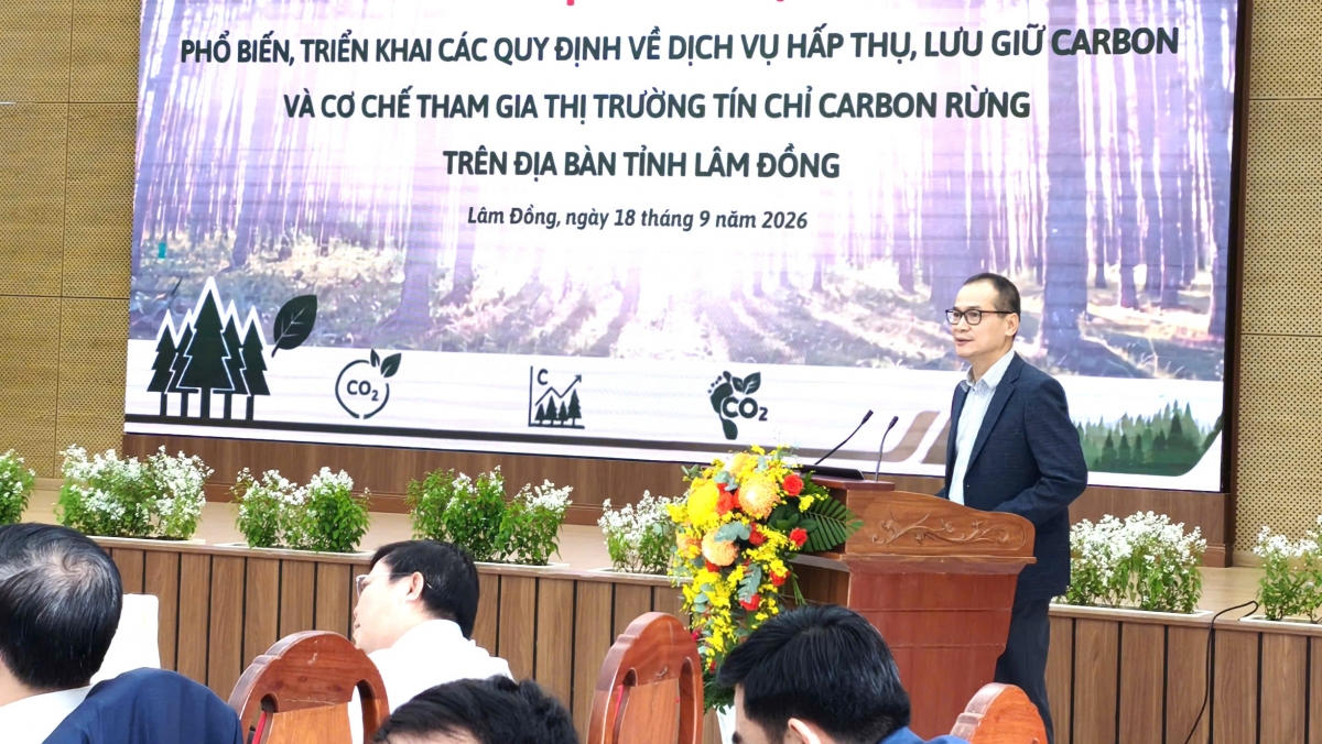 Ơi Phạm Hồng Lượng, Kơ-iăng khua wai lăng gah bruă hmua, pla kyâo mơ̆ng Ding jum ngă hmua hăng ayuh hyiăng bơni biă Lâm Đồng amăng bruă či nao giăm anih sĭ mơdrô rơnoh carbon amăng glai