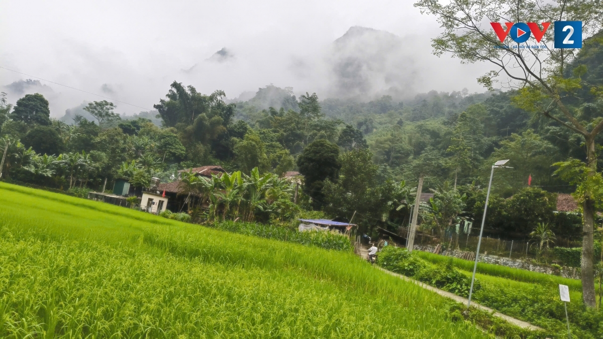 Nhờ áp dụng KHKT vào trồng trọt, năng suất nông nghiệp của bà con xã Nguyên Bình được nâng lên.