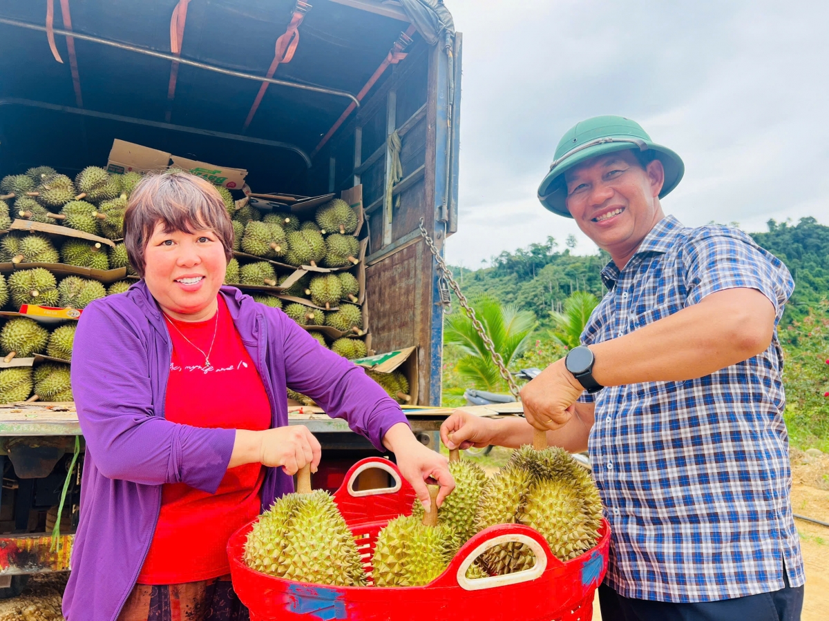 Ông A Lăng Mai cho biết, trồng sầu riêng mang lại kinh tế cao so với cây trồng khác.
Ảnh: Tuyết Lê/VOV Miền Trung