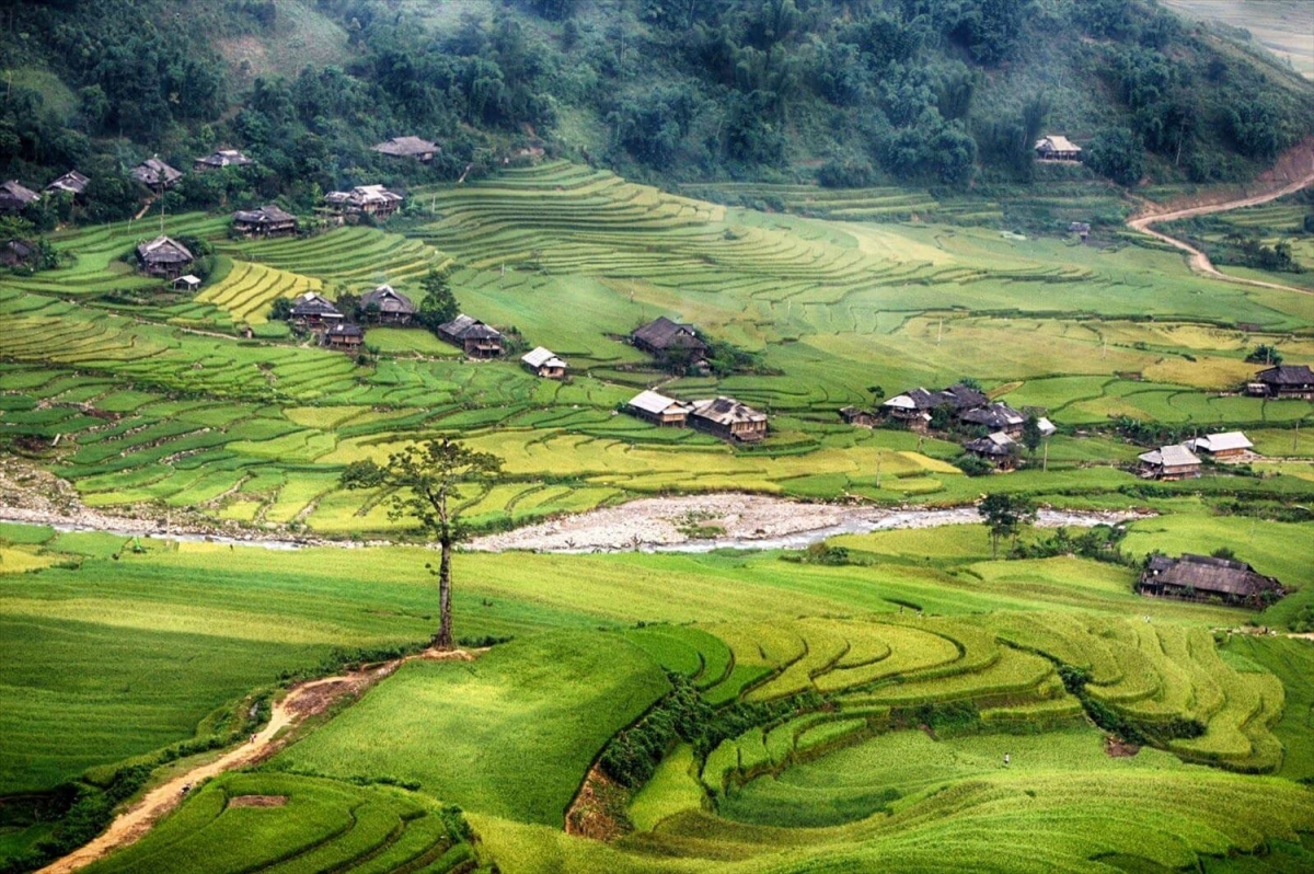 Palei bangsa Mông