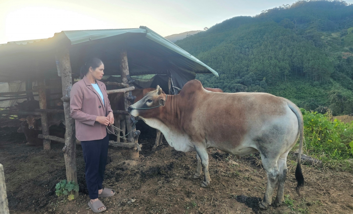 Yuh Y Phượng, nuĭh Gia Rai, kruanh thôn Cô Xia, xã Măng Ri bah n’gar ndrôk rnăk wâl