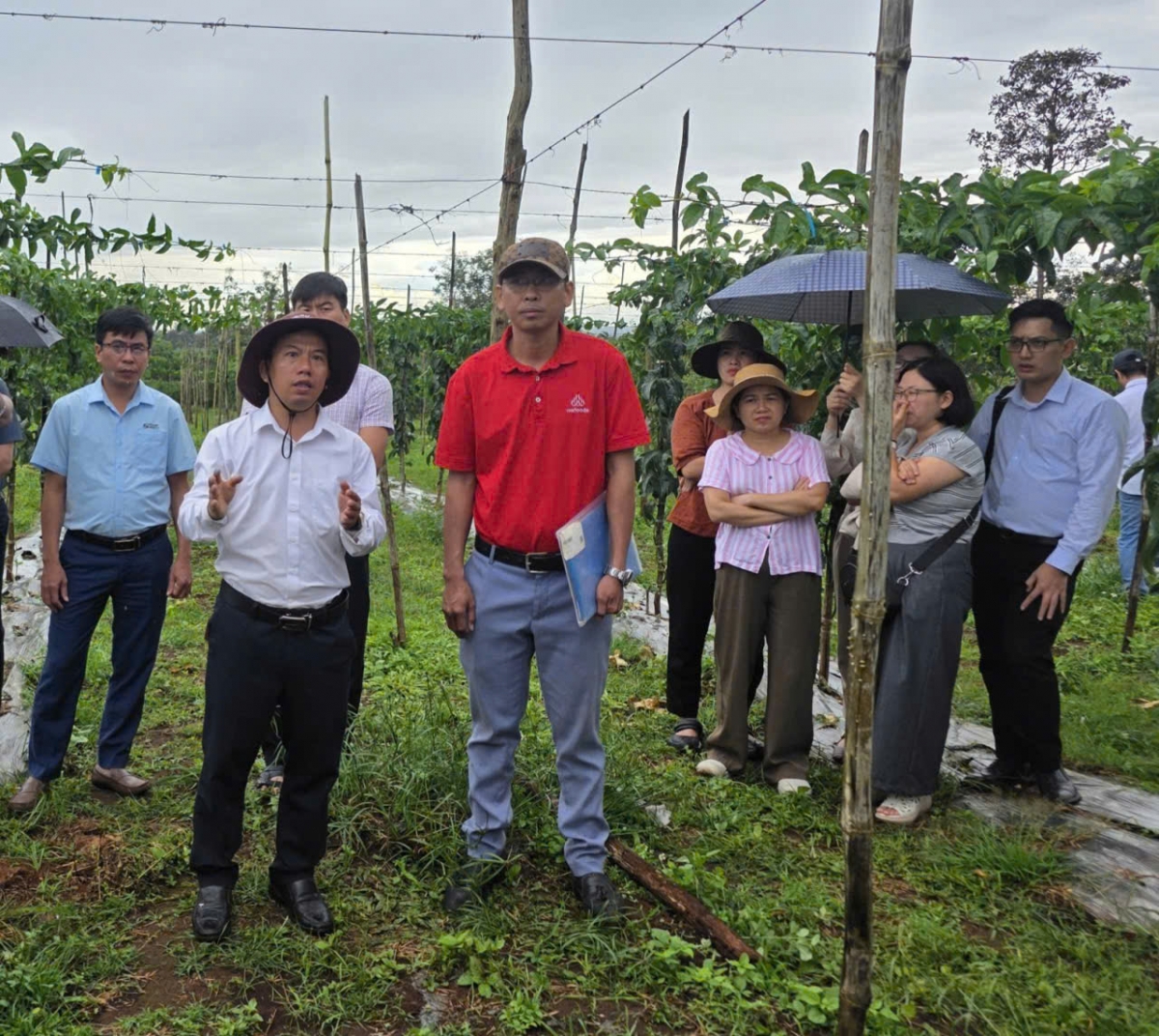 Môi rôh hnê hriâm ‘na hbru mah kơxô̆ kơpong pêt a Gia Lai mơ’nui khế 9/2026